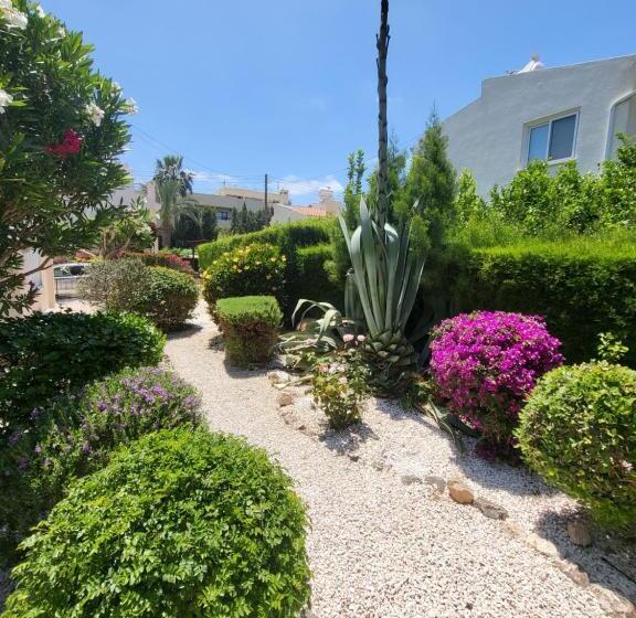 Cyprus Beachfront Paradise Villa Private Pool
