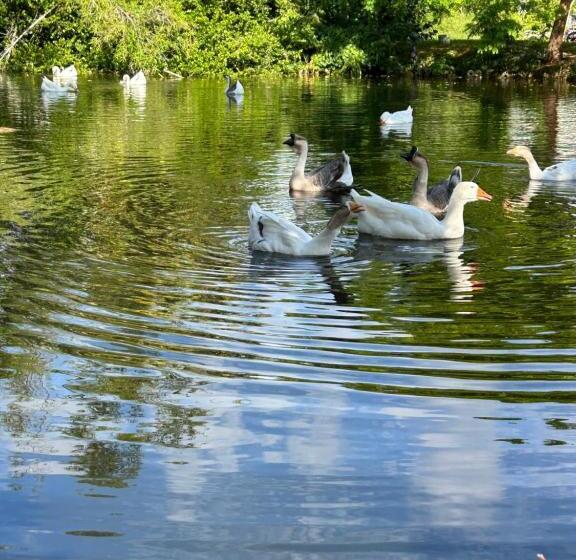 Cozy House 3 Large Bedrooms 3full Bath And King Beds