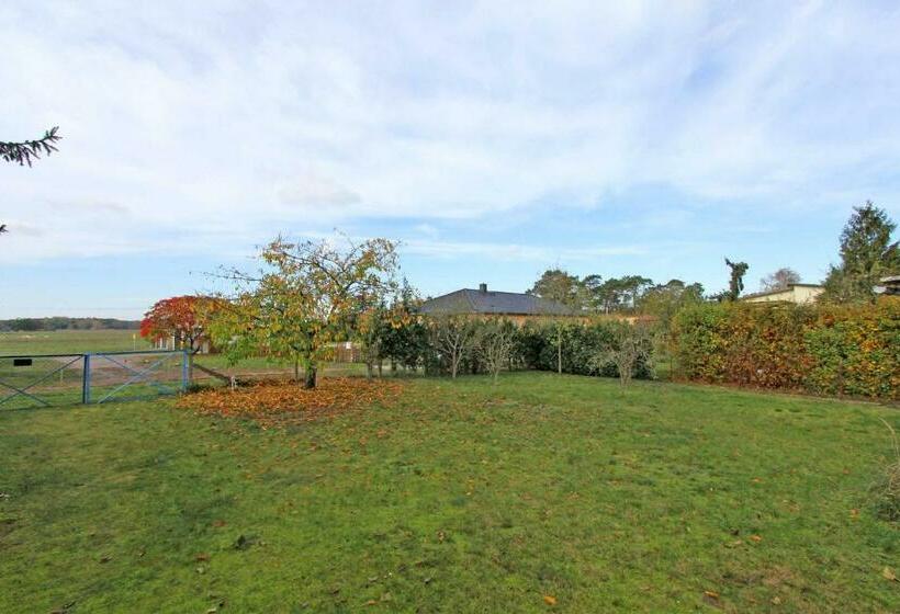 Ferienwohnung Ahlbeck Vorp 2991