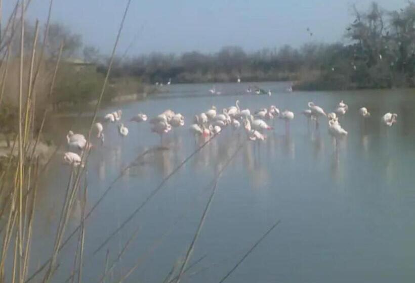 La Bastide Plein Sud De Marignan