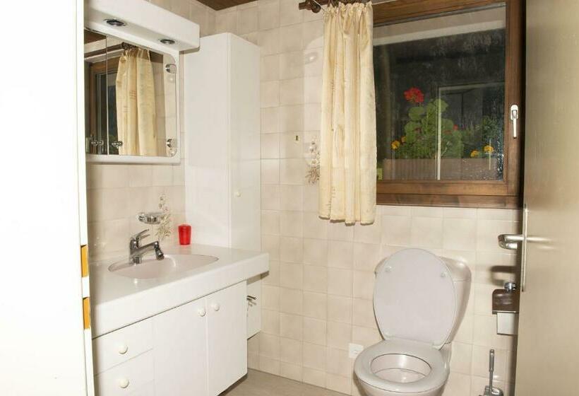 Lauterbrunnen Staubbach Beautiful Waterfall Apartment