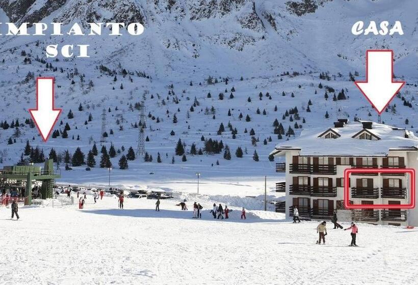 Ski&bike Apartment Passo Tonale