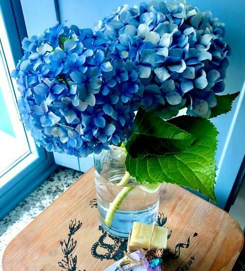 Apartamentos Turísticos Casa Dina