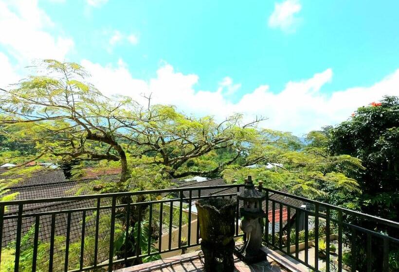 Bedugul Lake View Residence Unit A 1