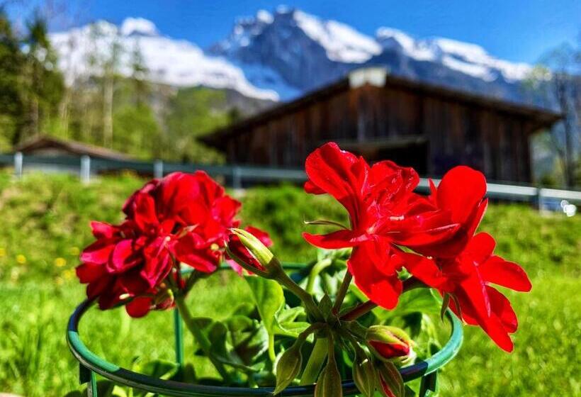 Büelbad   Relax Holiday Apartment