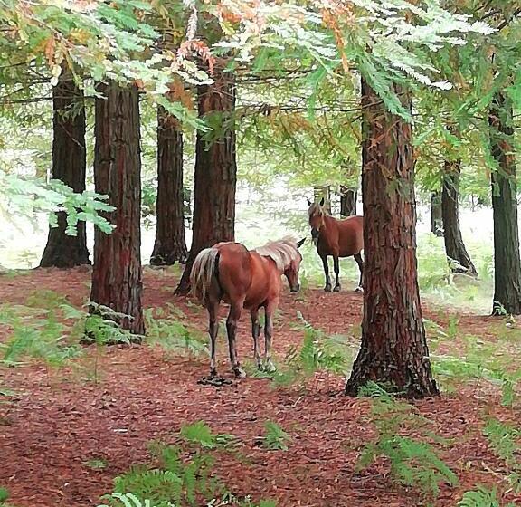 Casa Angelita Terraza Con Hórreo Y Barbacoa