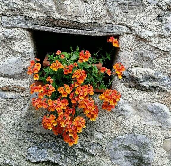 Casa Il Fienile By Garda Domus Mea