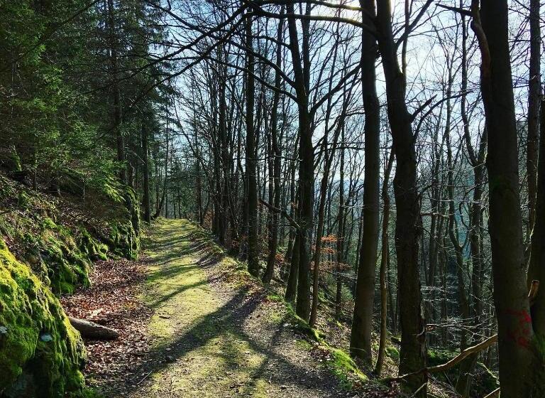 Ferienwohnung Frankenwald