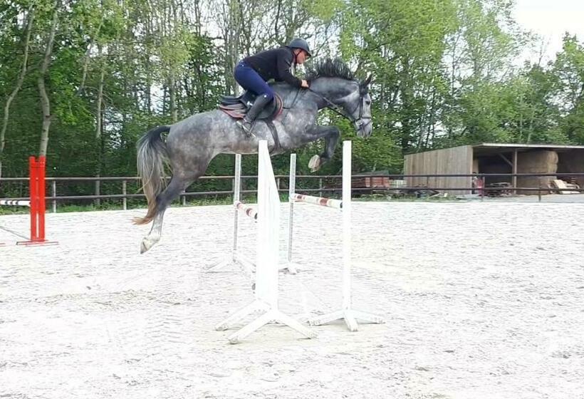 Gîte Du Haras De Valès