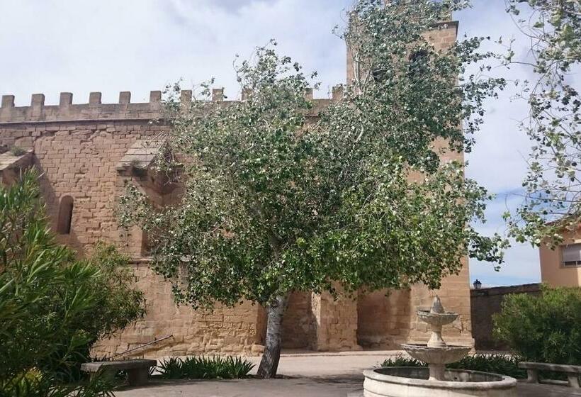 La Gatera 2d Bajo Aragon   Matarraña