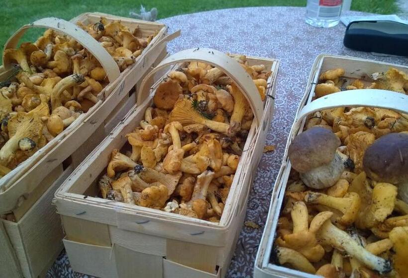 Pool, Pokale, Sauna, Billard, Kirche U. Viel Natur