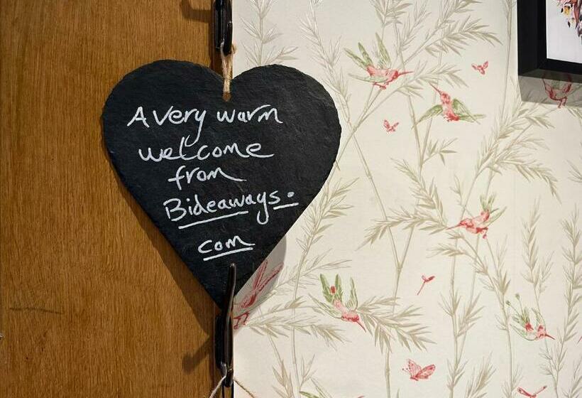 The Little Beech Tree