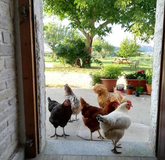 Agriturismo Le Terre D Abruzzo Country House