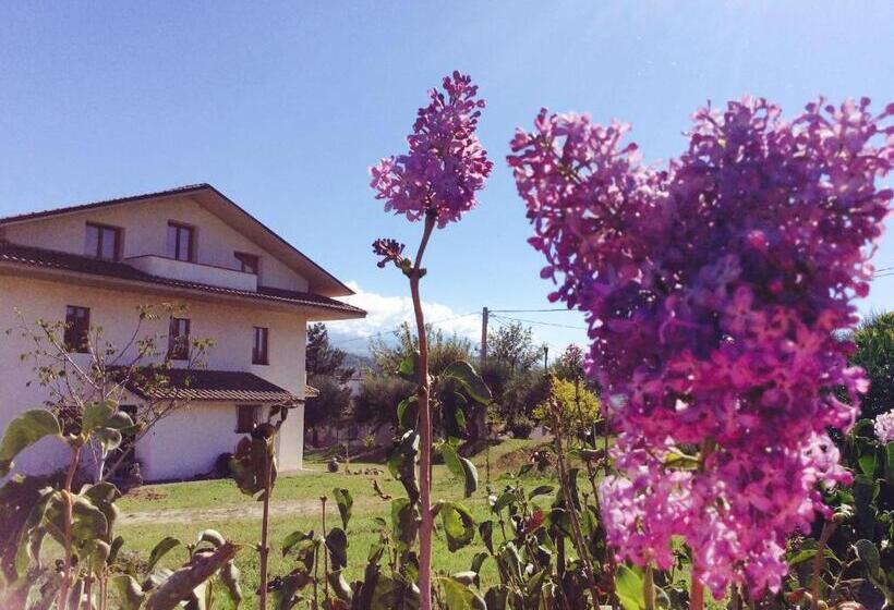 Agriturismo Le Terre D Abruzzo Country House