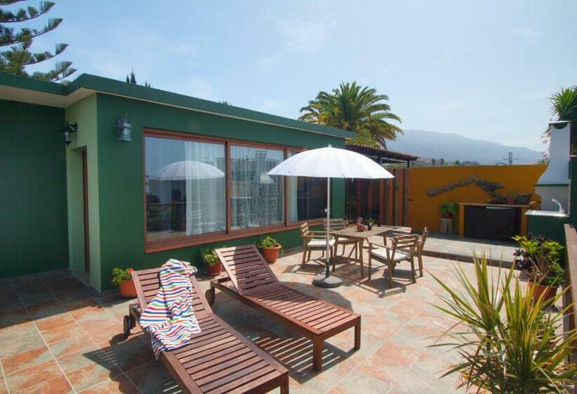 Casa Lagarto