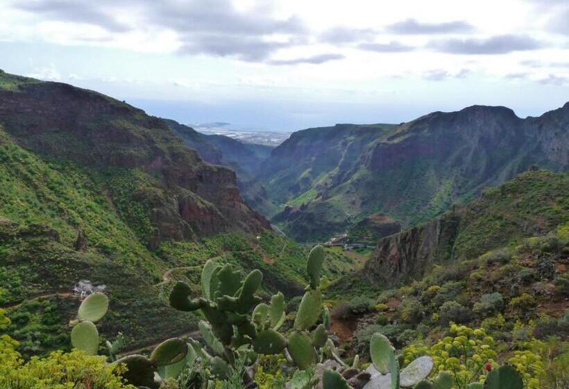 Casa Patio Canario Sxvii