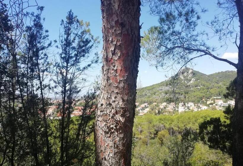 Casa Vacanze Villa Severina Iun R6166 R6692