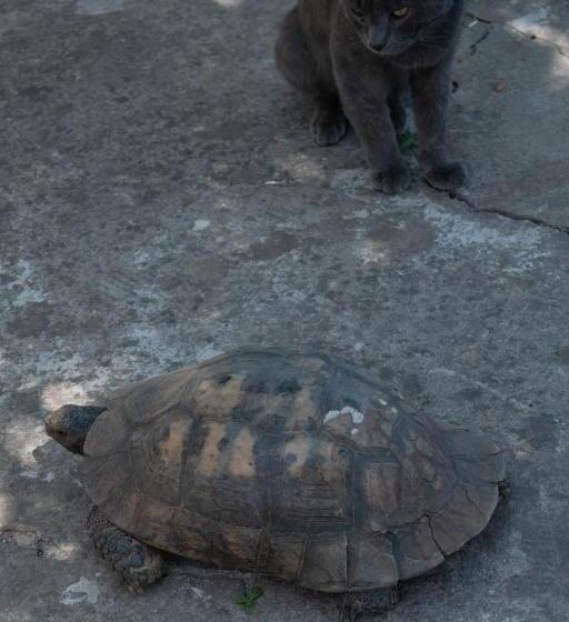 Casa Vacanze Villa Severina Iun R6166 R6692