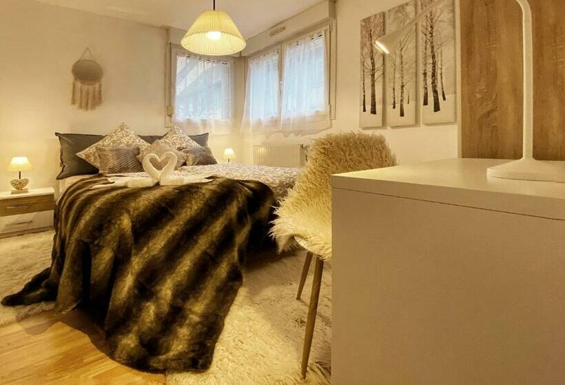 Centre Ville Au Calme , Parking Privé Intérieur Car Et Bike