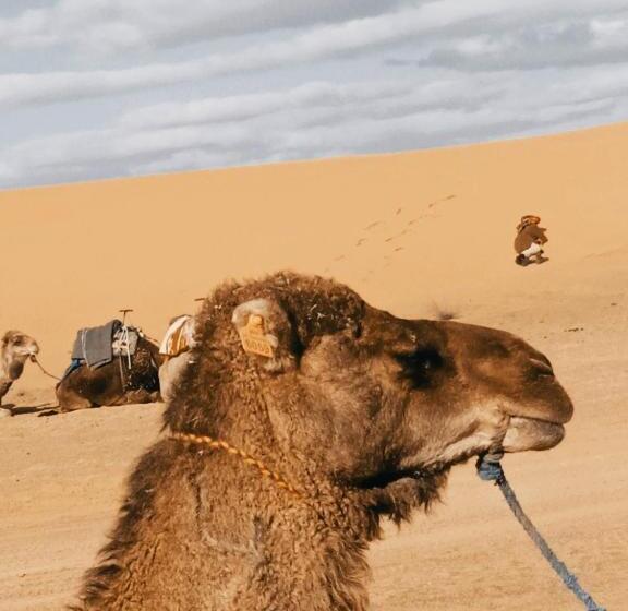 Désert Man Luxury Camp