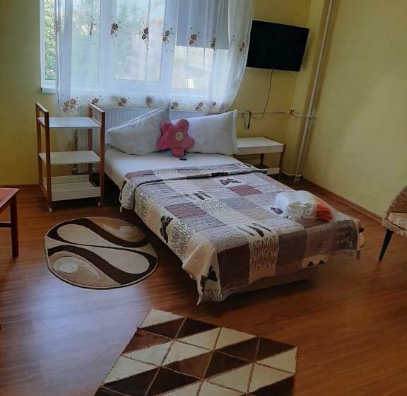 Garsonieraanica Felix