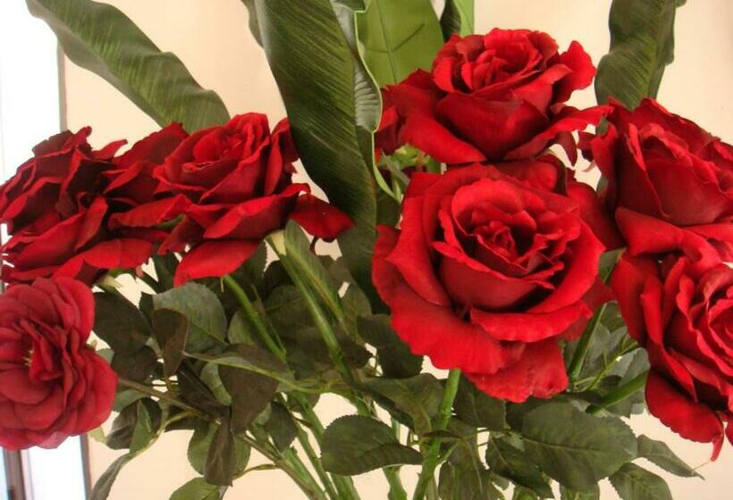 Le Mas Des Souris Blondes