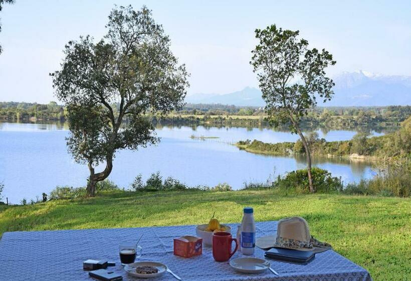 Locations Chezchristine à Aléria