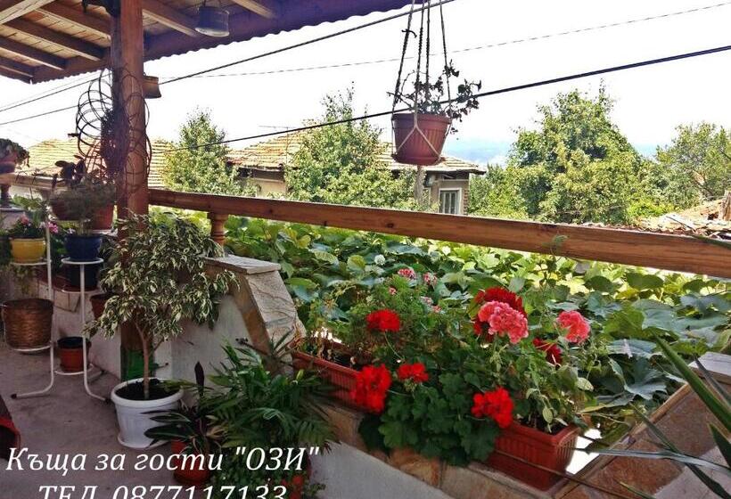къща за гости ози