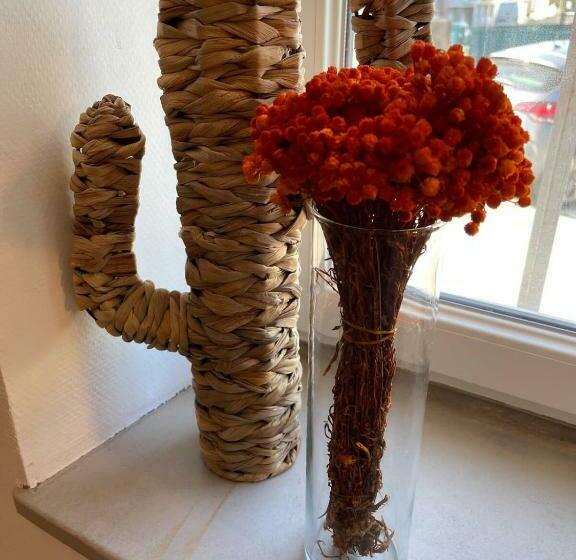 30m2 Vie Indépendant Centre Ville Lorient