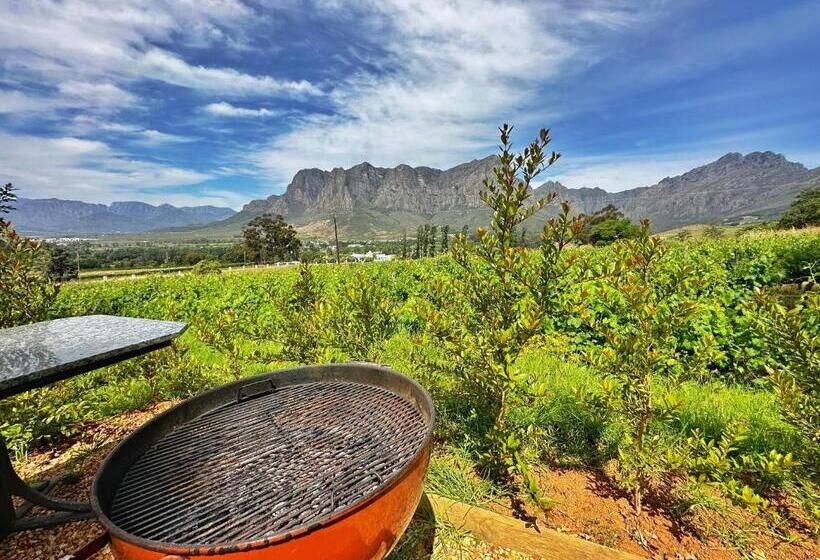 Camberley Wines   Luxury Accommodation