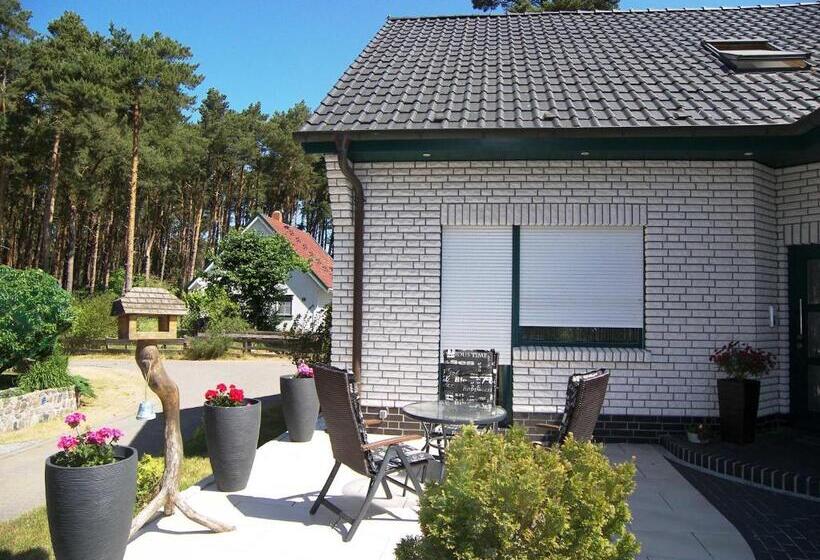 Ferienwohnung Plötz  Mit Terrasse Und E  Auto Ladestation