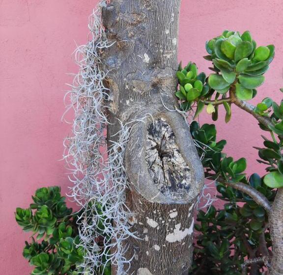 Finca Lomo De Castillo   Kleines Schlösschen Am Berg