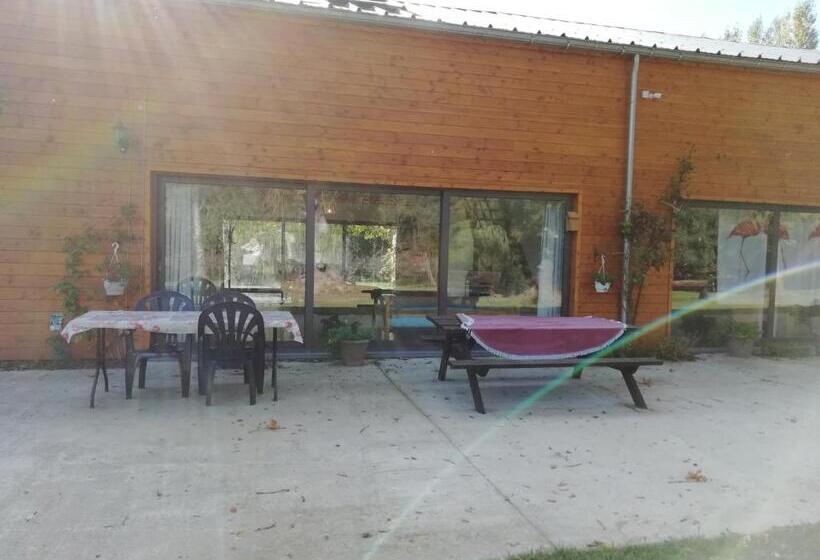 Florennes Gîte Neuf 150 M2 Devant Un Grand Lac Privé De 2 Hectares Poissonneux Au Milieu Des Bois