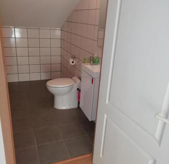 Florennes Gîte Neuf 150 M2 Devant Un Grand Lac Privé De 2 Hectares Poissonneux Au Milieu Des Bois