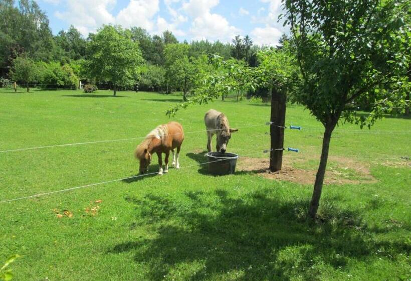 Florennes Gîte Neuf 150 M2 Devant Un Grand Lac Privé De 2 Hectares Poissonneux Au Milieu Des Bois
