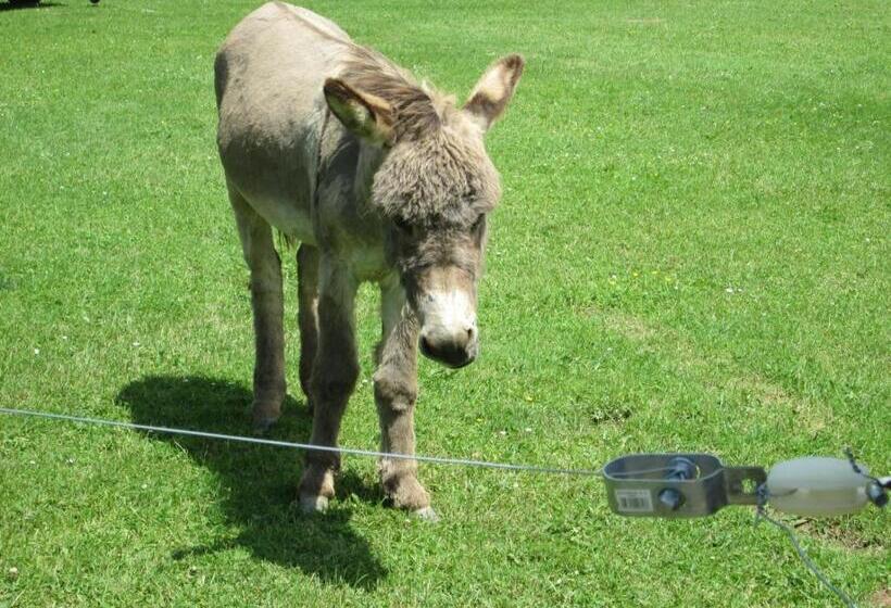 Florennes Gîte Neuf 150 M2 Devant Un Grand Lac Privé De 2 Hectares Poissonneux Au Milieu Des Bois
