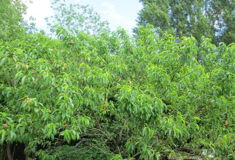 Florennes Gîte Neuf 150 M2 Devant Un Grand Lac Privé De 2 Hectares Poissonneux Au Milieu Des Bois