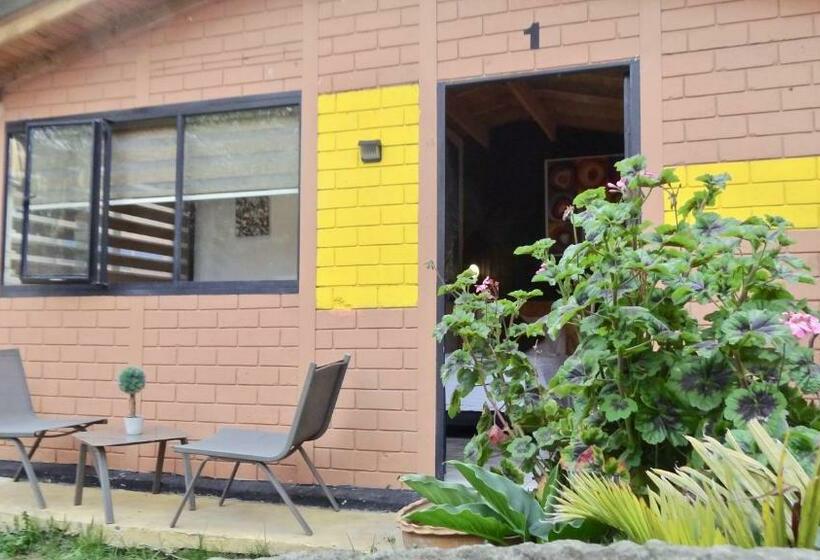 Fr Company Sede Chia