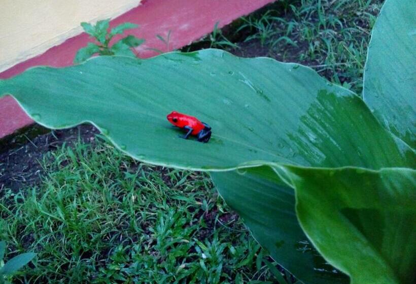 Casas De Campo Las Pavitas Cottages Red Frog