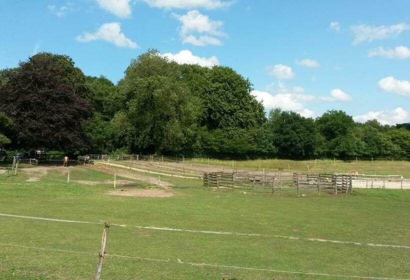 Reiterhof Jägersburg Ferienwohnung