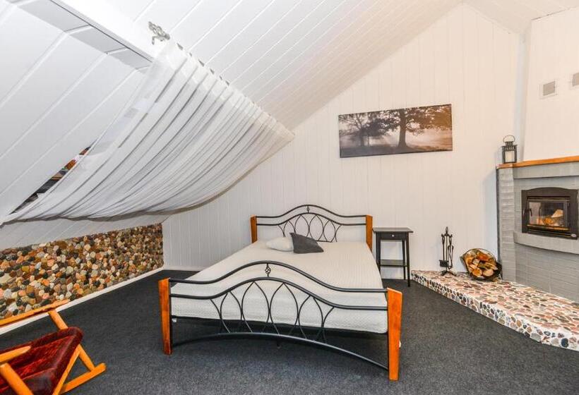 Apartamentai Birštono Centre Su židiniu