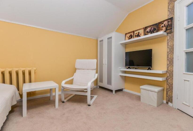 Apartamentai Birštono Centre Su židiniu