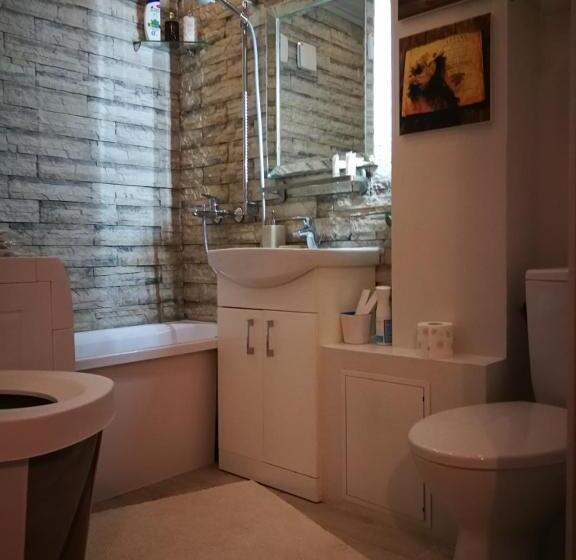 Apartamentai Birštono Centre Su židiniu