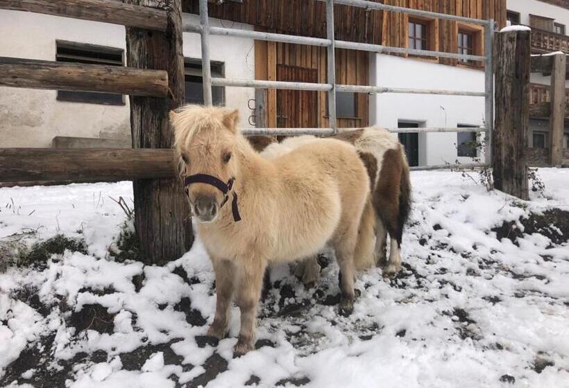 Appartement Adamhof Spielberg