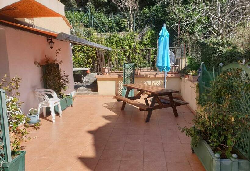 Beau F4 Petreto Bicchisano