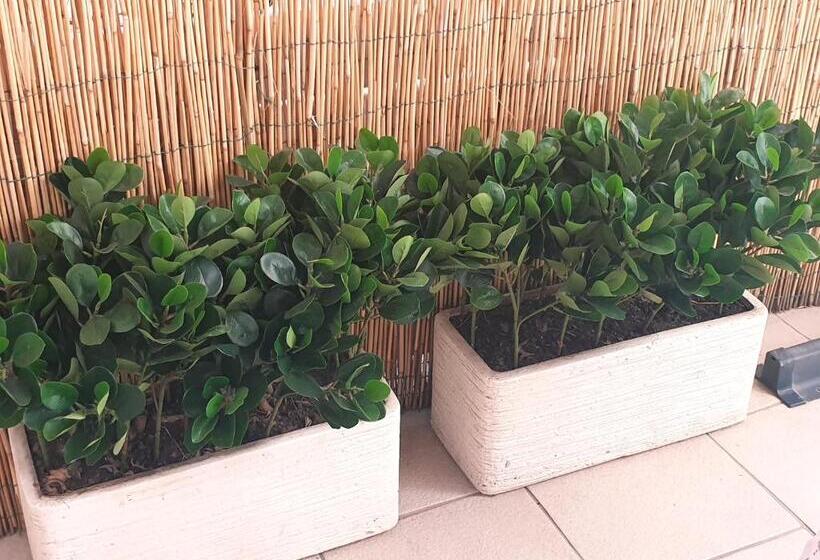 Dimora Montalto,indipendente Con Terrazzo Privato