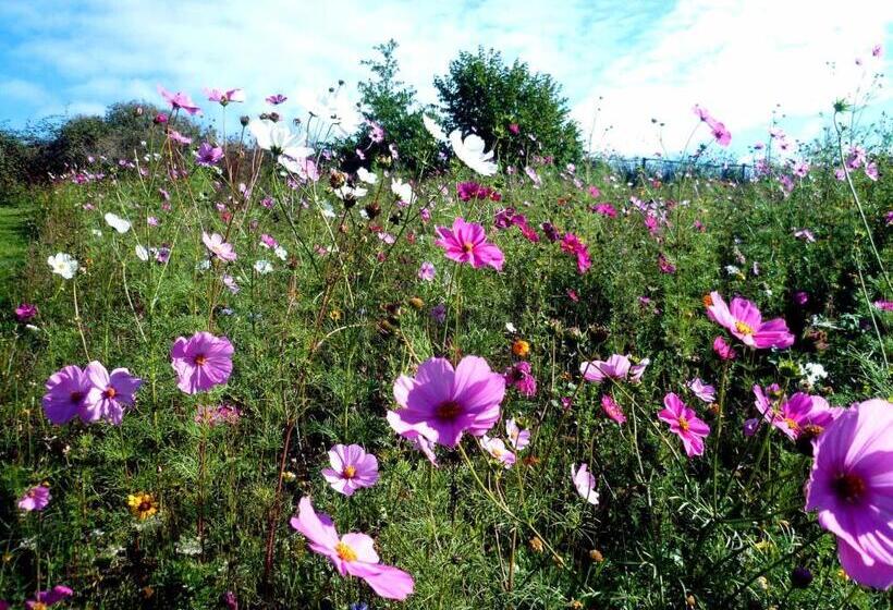 La Roche Gite At Les Glycines Gites With Pool,games Field In A Peaceful,rural Setting