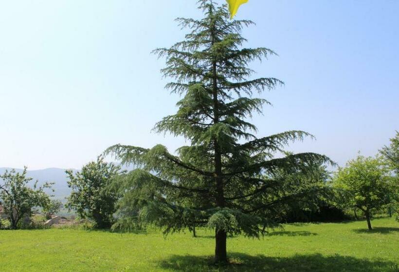 La Tinaia Del Glicine