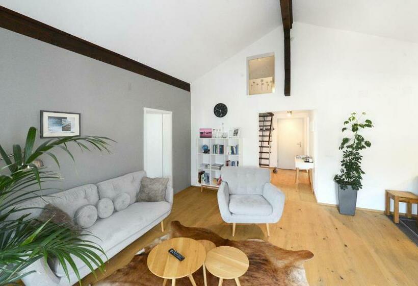 Zer Treichi Appartements