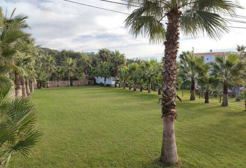 Casa Anton   Villa Ideal Familias Y Grupos Grandes, Piscina Privada